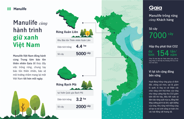 Manulife Việt Nam cùng khách hàng trồng rừng